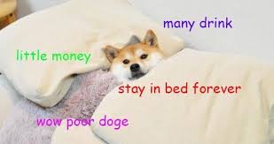small doge in a bed meme